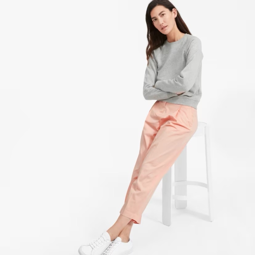 Everlane The Slouchy Chino Pant
